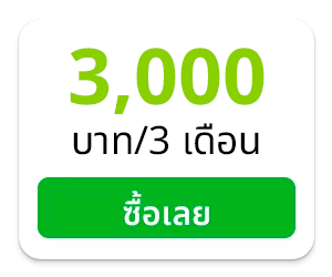 3,000 บาท/3 เดือน